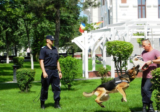 Mulţi copii, câţiva jandarmi şi câinii de serviciu Tih şi Micag pe pietonalul „Grigore Ghica” din Dorohoi - FOTO