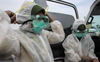 Atenție la PORCI! Autoritățile monitorizează …