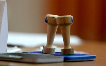 Senatul a adoptat tacit alegerea …