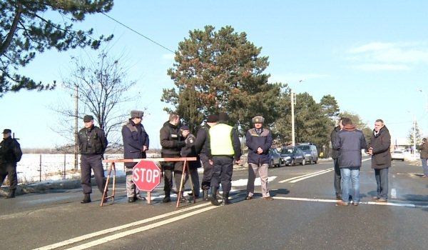 Noi măsuri împotriva pestei porcine africane. Vezi ce drumuri din județ sunt vizate!