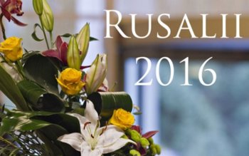 Ce drepturi au salariaţii care …