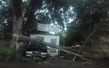 Ravagii făcute de furtună în …