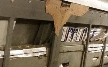 Zeci de mii de comprimate …