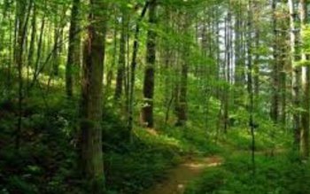 Prefectul salută personalul silvic din …