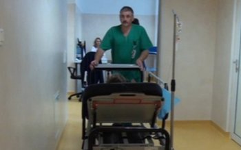 O fetiţă din Suceava muşcată …