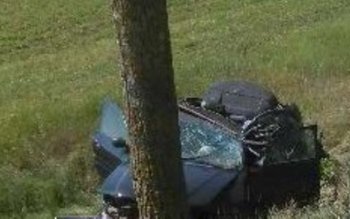 Plimbare cu mașină împrumutată și …