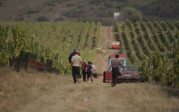 Români care lucrau ca sclavi …