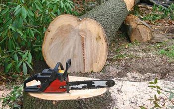 Vrei să raportezi un caz …