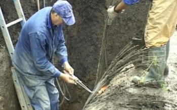 Anunț Nova Apaserv Botoșani! Află …