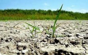 Prefectul Dan Nechifor recomandă producătorilor …