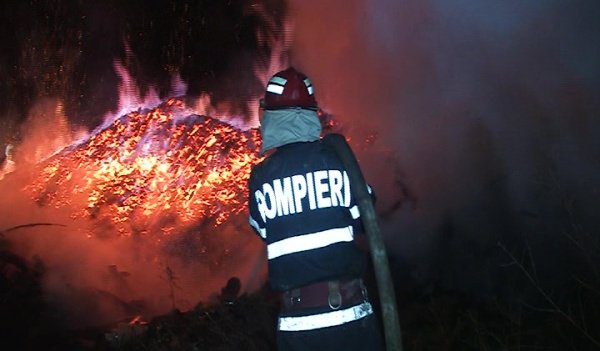 Adăpost de animale distrus într-un incendiu provocat cu intenţie