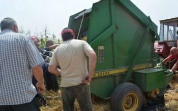 Scene de groază într-o comună …
