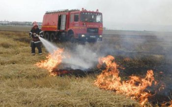 Incendii de vegetaţie uscată provocate …