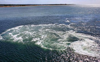 S-a elucidat în sfârșit misterul …