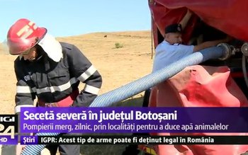 Secetă severă în judeţul Botoşani. …