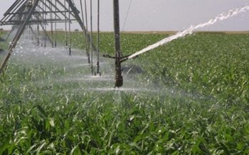 Atenție fermieri! Vezi anunțul ministrului …