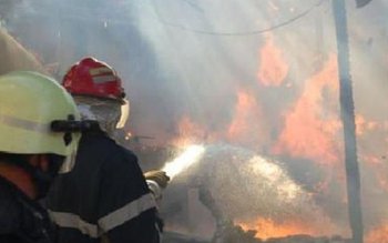 20 de tone de furaje …