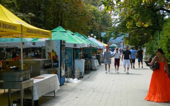 Festivalul Verii se va desfășura …