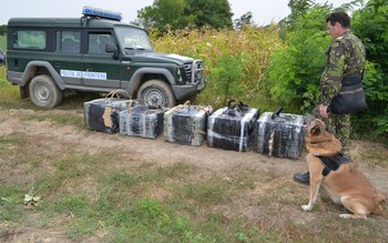 Contrabandist moldovean depistat într-un lan …