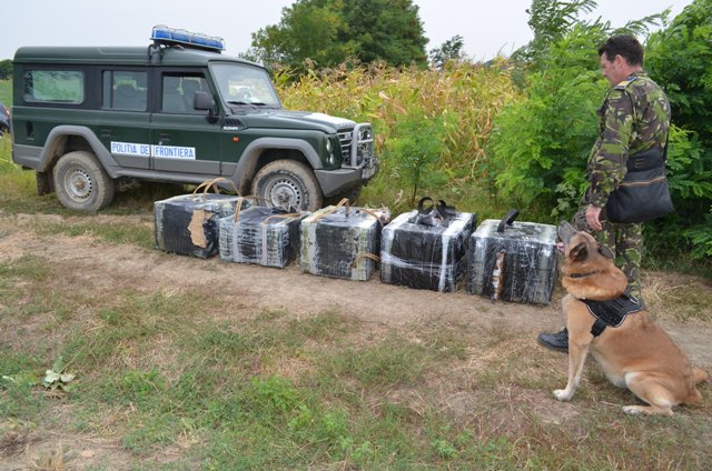 Contrabandist moldovean depistat într-un lan de porumb de poliţiştii de frontieră - FOTO