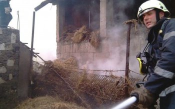 Adăpost de animale şi furaje …