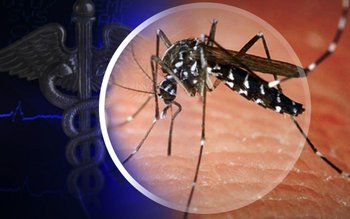 Alertă: Au fost confirmate trei …