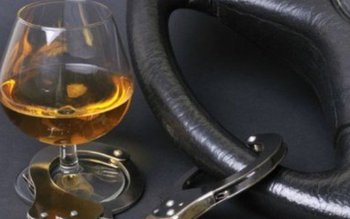 Dobitoci pe stradă. Accidente produse …