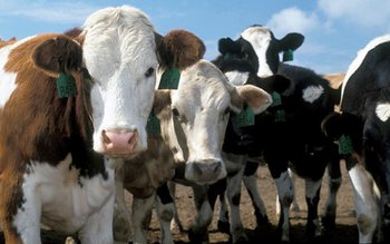 Anunț important pentru fermieri: Se …