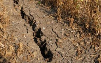 Guvernul a solicitat date privind …