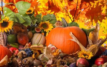 Încă o zi de sărbătoare …