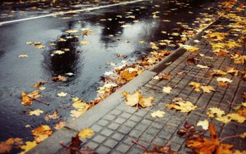 Toamna se instalează în următoarele …