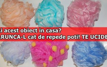 Ai acest obiect în casă? …