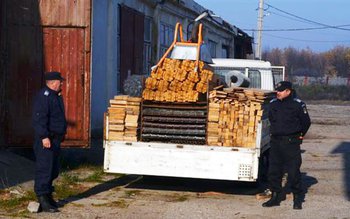 Noi competenţe primite de jandarmi …