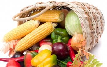 Cele mai bune alimente pe …