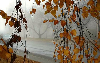 Directorul de la drumuri mustrat …