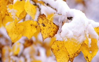 Meteorologii anunţă schimbarea vremii: Când …