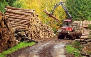 Legea Gărzilor Forestiere a fost …