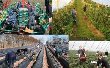 AJOFM Botoșani anunță locuri de …