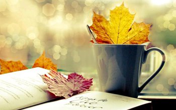 Temperaturi de -22 de grade, …