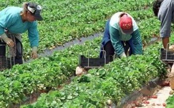 Ofertă generoasă de locuri de …