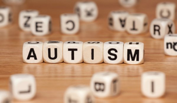 APCA Botoșani anunță finalizarea programului educațional pilot dedicat familiilor afectate de autism