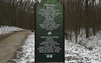 Lucrările de reabilitare a Lacului …