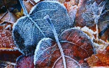 Vremea se răcește accentuat: luni …