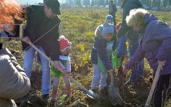 ROTARY CLUB BOTOȘANI alături de …