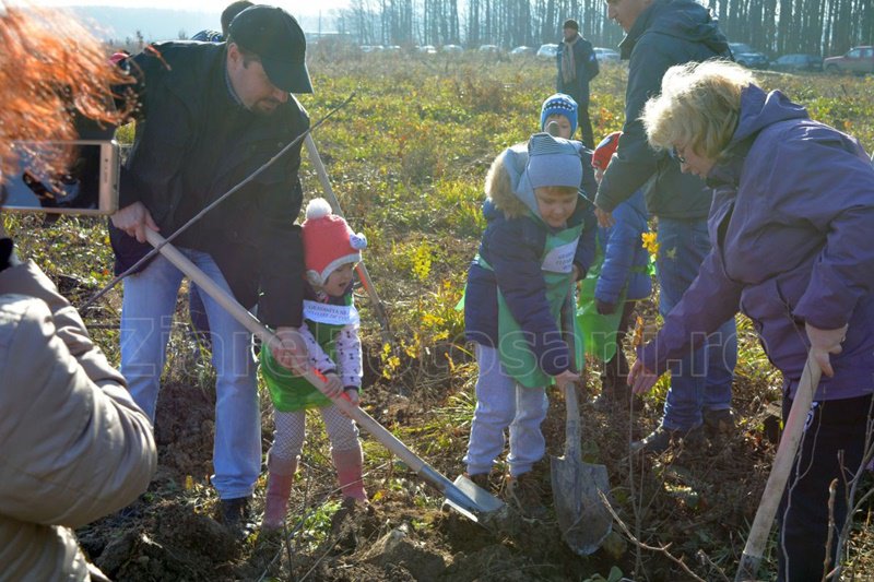 ROTARY CLUB BOTOȘANI alături de peste 100 de voluntari botoșăneni a plantat 1000 de puieți în Pădurea Vorona - FOTO