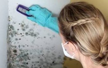 Cum înlăturaţi rapid mucegaiul de …