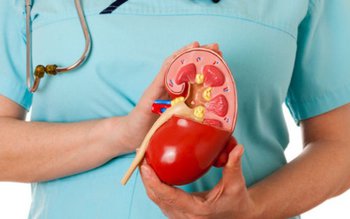 Cum știi că rinichii tăi …