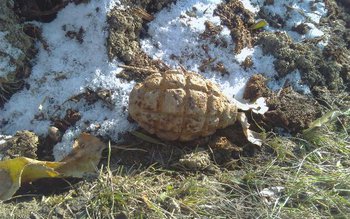 Element de muniție descoperit într-o …