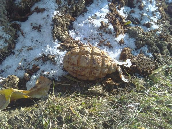 Element de muniție descoperit într-o livadă din Dorohoi - FOTO