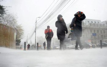 Cod galben de vânt puternic, …